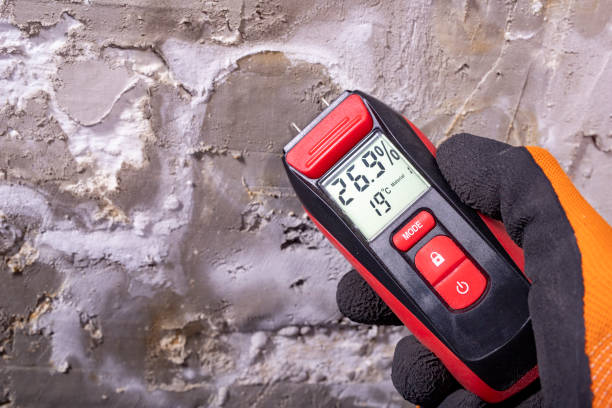 Best Bathroom Mold Remediation in Olton, TX